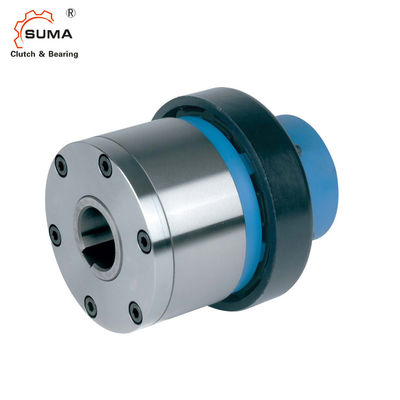 ESG2 Taşma GCr15 İndeksleme Filibir Debriyaj